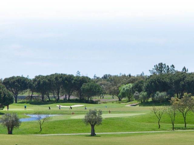 længde Sygeplejeskole hjemmehørende Golfe do Montado - Portugal Golf Courses